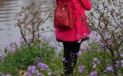 百米加减档视频